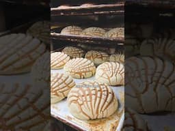 He’s been running Chicago’s oldest Mexican bakery since 1973