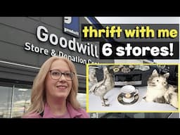 Goodwill Picking for Profit! 50% Off! Thrift With Me at 6 Thrift Stores for Reselling & Haul