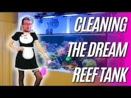 Cleaning The Dream Reef Tank - My Routine!