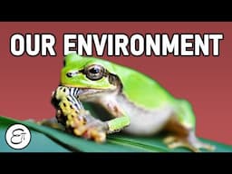 Our Environment (Full Chapter)  ||  for Class 10 in Hindi