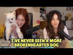 Valkyrae Couldn't Believe How Nabi Reacted When Tarik Pets Mika