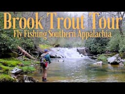 The most beautiful trout fishing in the world? Blue lines and brook trout