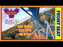 Phoenix Rising | B&M Family Suspended Coaster | On-Ride | Front | 4K POV | Busch Gardens Tampa Bay