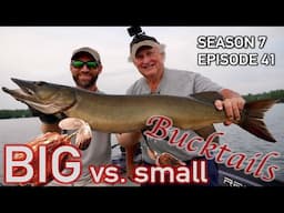 Musky Mayhem: BIG vs. Small Bucktails - One Spot, Multiple Strikes! S7.E41