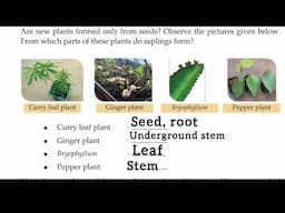 Scert Class 7 Basic Science/Chapter 1 Towards A Hundredfold Yield/ Part 1