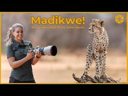 Madikwe Game Reserve - South Africa's Best Kept Photo Safari Secret!