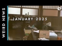 Weird, Bizarre, and Scary News From Japan January 2025