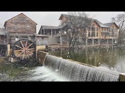 Live from a Snowy Smoky Mountains 🏔️