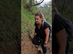 Little Adam’s Peak Hike in Ella, Sri Lanka 🇱🇰