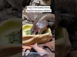 Top 5 Reptile Keeper MISTAKES #reptileowner #reptiles #petcare