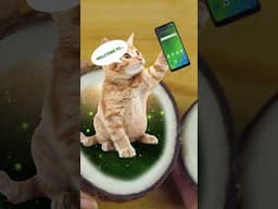 Cricket Wireless — Coconut/Cat