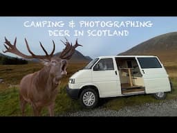 Waking up in the Scottish Highlands SURROUNDED by DEER - Wildlife Film