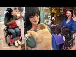 Vlog // Shopping with SmartDrive and Service Dog in Training ♿️ 🦮