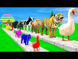 Paint Animals Duck,Tiger,Cow,Lion,Buffalo,Gorilla,Elephant,Dinosaur Fountain Crossing Animal Game