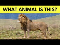 Can You Guess The Animal From The Pixelated/Matrix Images? + Superhuman Level | Fun Eye Puzzle!