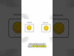 Understanding Personality Spectrum  Finding Your Balance