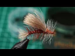 Fishing Guide's Favorite Steelhead Flies!