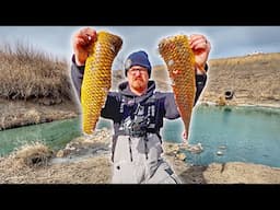 Tiny Spillway Carp CATCH CLEAN COOK!!! - Mtn Dew Smoked Carp Ribs