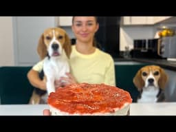 COOKING WITH BEAGLES | Cheesecake