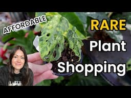 $10 & Under Plants! RARE Plant Shopping For Wishlist Houseplants - Indoor Plants At Horrock's Market