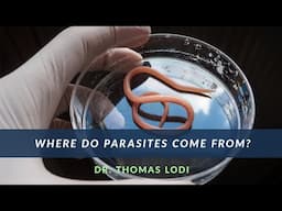 Where Do Parasites Come From- Dr. Lodi