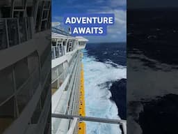 Adventure Awaits on Royal Caribbeans Oasis of the Seas