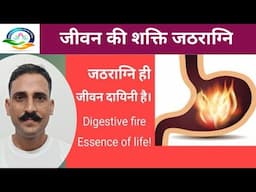 जठराग्नि तेज करने के उपाय । मंदाग्नि के लक्षण व कारण और समाधान । Ways to increase gastric fire ।