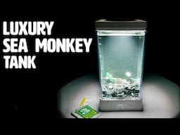 Luxury DIY Sea Monkey Tank