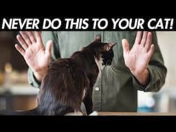 15 Things Your Cat Will NEVER Forgive You For!