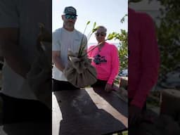 Making Mangrove Bombs with Cory Redwine!