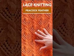 Peacock Feather Lace #Knitting