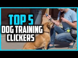 ✅Top 5 Best Dog Training Clickers in 2025