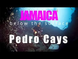 JAMAICA: Below The Surface | Pedro Cays | Camping On An Island With Yardie Divers