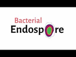 Structure of Bacteria | Part 9 | Endospore