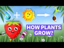 How plants Grows 🌱 Learn Plant Life Cycle in English | Fun for Kids!