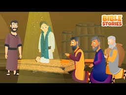 The Shepherds and Wise Men | Bible Stories I #biblestories