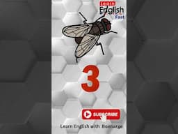 PROVEN Method to Speak English FLUENTLY Without Frustration