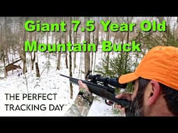 The Perfect Tracking Day | A Tracking 200 Adirondack Big Buck Film #deerhunting #onx #Forloh #STAGR