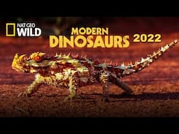 Modern Dinosaurs [English subtitles] - National geographic new Documentary 2022 .