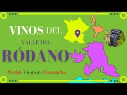 Vinos del RÓDANO 🍷 [El clima, uvas y subregiones vinícolas]