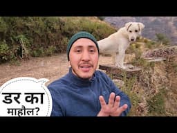 घर के पास में ही बड़े बंदरों ने डरा दिया || Pahadi Lifestyle Vlog || Cool Pahadi