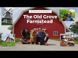 Creamy goes to Netherlands in Batangas | The Old Grove Farmstead | Rates|Permits|Full Review