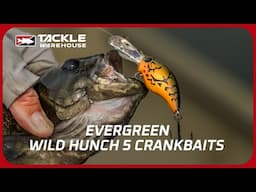 Cody Meyer's Secret Ozark Crankbait...🤫 the Evergreen Wild Hunch 5 - Available at Tackle Warehouse