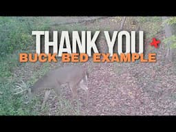 Real Buck Bed Example - Appreciation