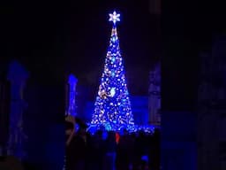 Beautiful Christmas Tree in USJ