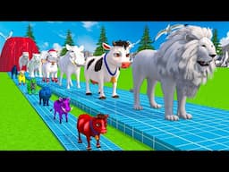 Paint & Animals Cow,Monkey,Pig,Rabbit,Tiger,Elephant Fountain Crossing Transformation Animal Cartoon