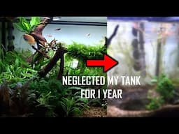 I Neglected My Fish Tank for 1 Year! What Happened?