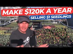 Make $120K Growing Seedlings in Just 400 Sq Ft at Home