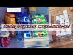 ASMR FRIDGE ORGANIZING! | TikTok Compilation 2021