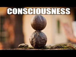 The Philosophy of Consciousness